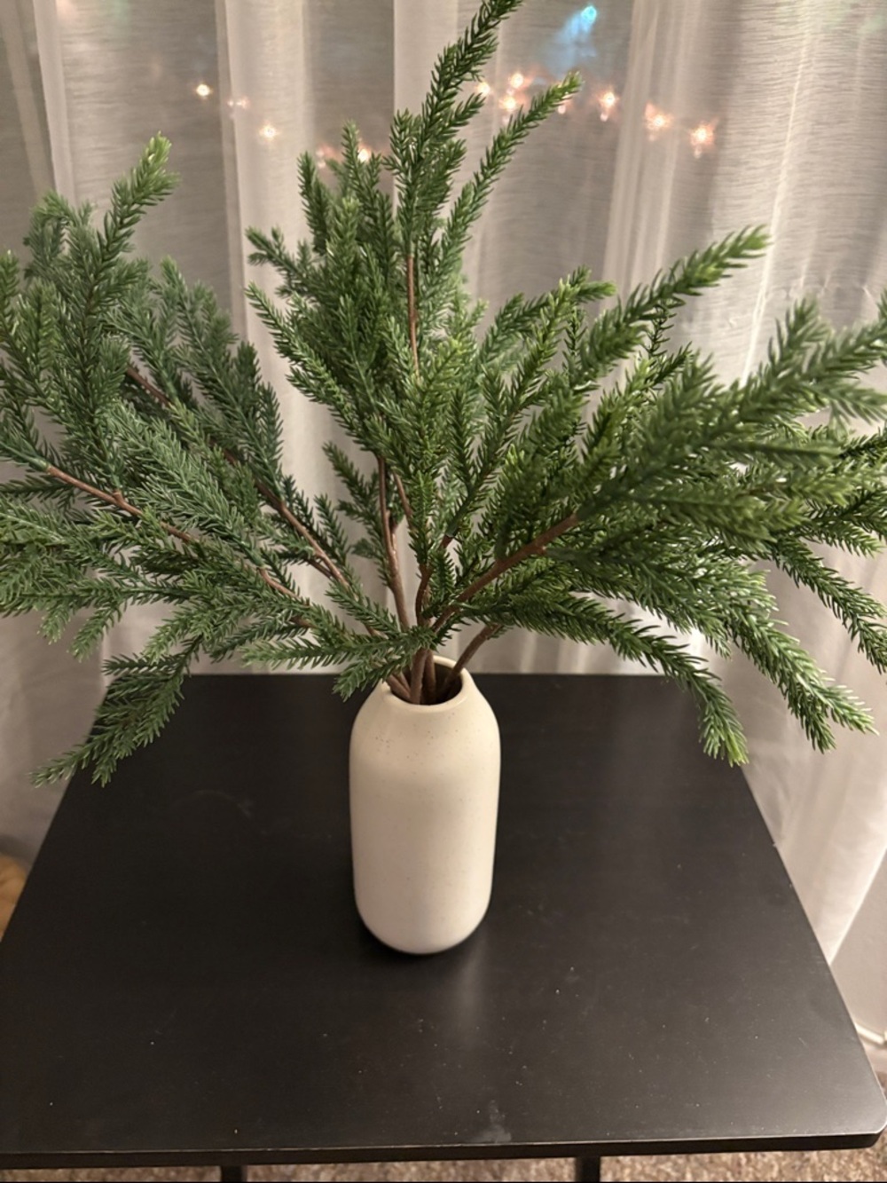 Green Cedar Branches in White Ceramic Vase Holiday 2025